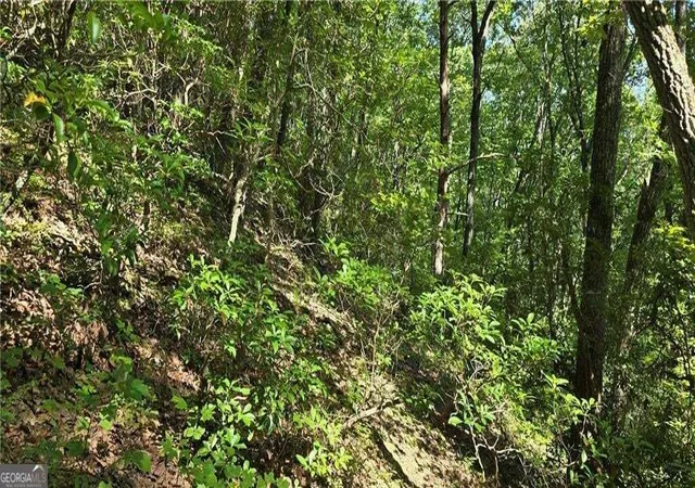 Photo 2 of Land for sale at 0 Firetower Rd, Jasper, GA 30143 | MLS# 10871208 | Listing updated on 2026-10-26