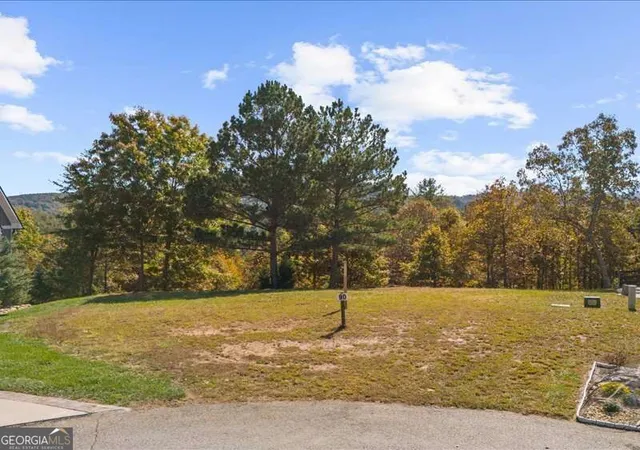 Photo 4 of Land for sale at Lot 90 Northshore, Blairsville, GA 30512 | MLS# 10880157 | Listing updated on 2026-10-28