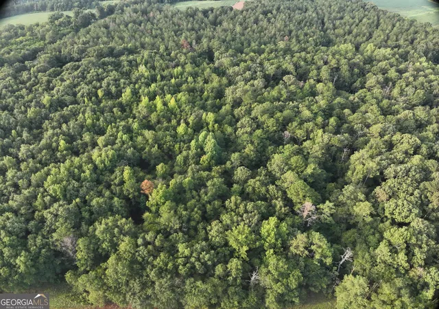 Photo 2 of Land for sale at 0 Coogle Rd, Oglethorpe, GA 31068 | MLS# 10841304 | Listing updated on 2026-09-21