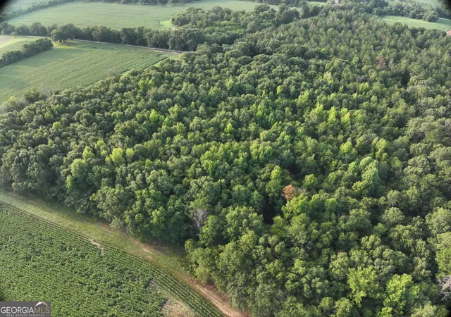 Photo 3 of Land for sale at 0 Coogle Rd, Oglethorpe, GA 31068 | MLS# 10841304 | Listing updated on 2026-09-21