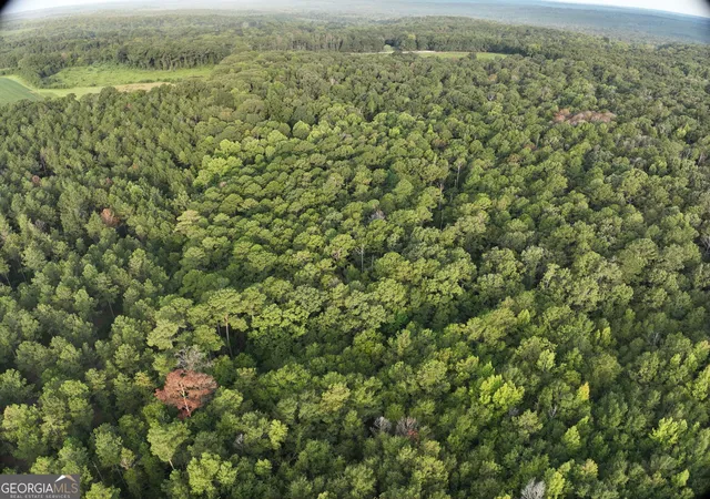 Photo 3 of Land for sale at 0 Coogle Rd, Oglethorpe, GA 31068 | MLS# 10841304 | Listing updated on 2026-09-21