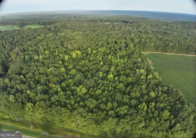 Photo 4 of Land for sale at 0 Coogle Rd, Oglethorpe, GA 31068 | MLS# 10841304 | Listing updated on 2026-09-21