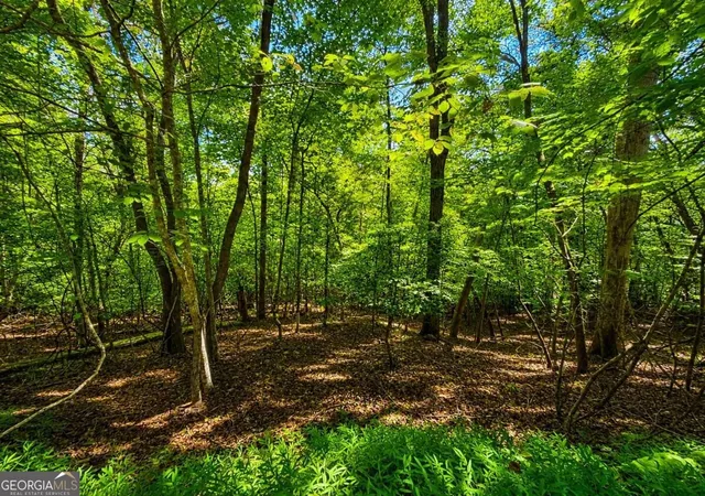 Land for sale at Lt 1012 Gateway Dr, Ellijay, GA 30540 | MLS# 10848061