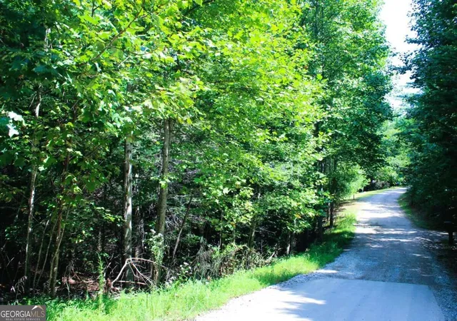 Land for sale at Lot 18 Wilderness Walk, Blairsville, GA 30512 | MLS# 10840984