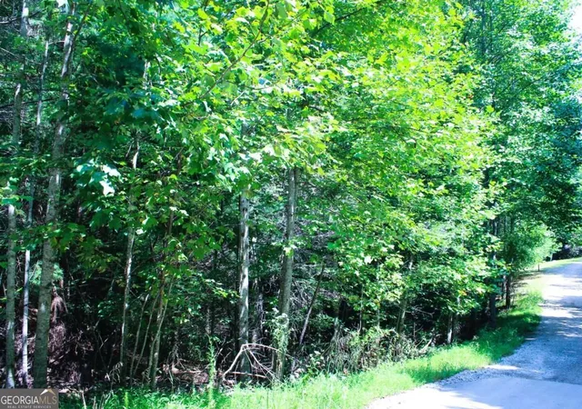 Photo 2 of Land for sale at Lot 18 Wilderness Walk, Blairsville, GA 30512 | MLS# 10840984 | Listing updated on 2026-09-19