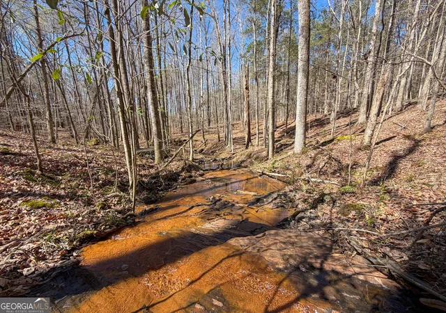 Photo 3 of Sale Pending at 24 +/ Acres On Ga Hwy 34 Tract 2, Franklin, GA 30217 | MLS# 10851637 | Listing updated on 2026-10-08