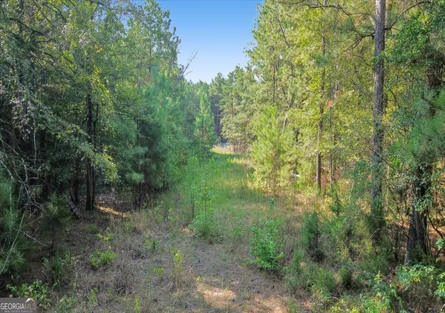Photo 3 of Land for sale at 3371 Morton Bnd Rd SW, Rome, GA 30161 | MLS# 10850958 | Listing updated on 2026-10-06