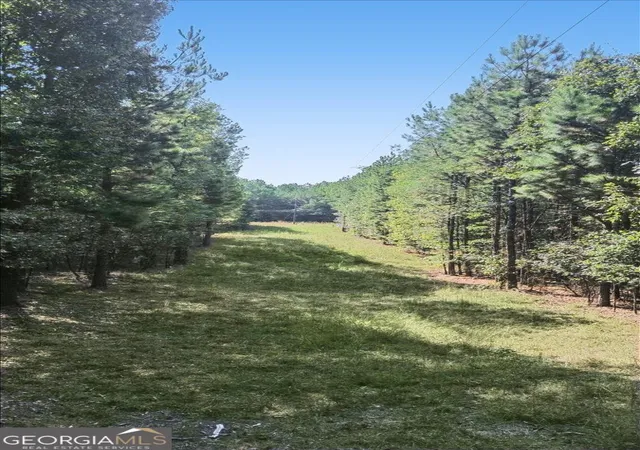 Photo 4 of Land for sale at 3371 Morton Bnd Rd SW, Rome, GA 30161 | MLS# 10850958 | Listing updated on 2026-10-06