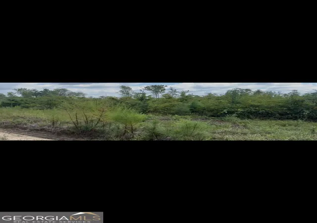 Photo 1 of Land for sale at 00 Peacock Xing, Tennille, GA 31089 | MLS# 10851608 | Listing updated on 2026-10-07