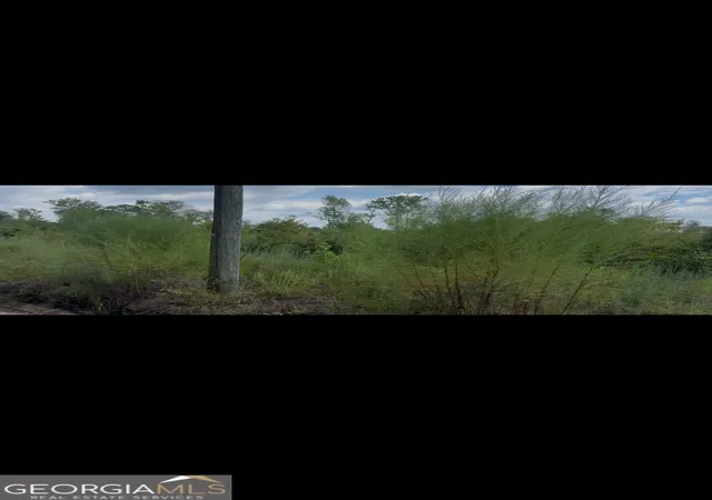 Photo 3 of Land for sale at 00 Peacock Xing, Tennille, GA 31089 | MLS# 10851608 | Listing updated on 2026-10-07