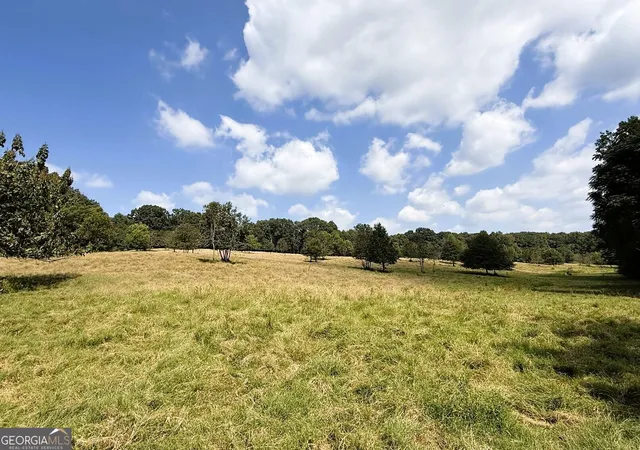 Land for sale at 2000 Sandy Cross Rd, Royston, GA 30662 | MLS# 10850710