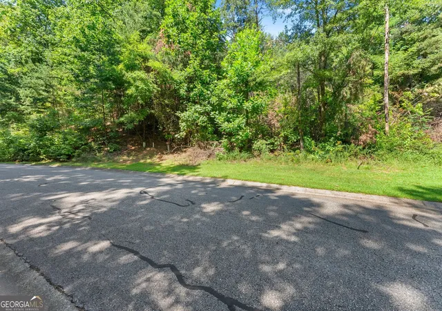 Photo 1 of Land for sale at 0 Raspberry Ln #1502, Clarkesville, GA 30523 | MLS# 10838143 | Listing updated on 2026-09-16