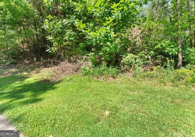 Photo 3 of Land for sale at 0 Raspberry Ln #1502, Clarkesville, GA 30523 | MLS# 10838143 | Listing updated on 2026-09-16