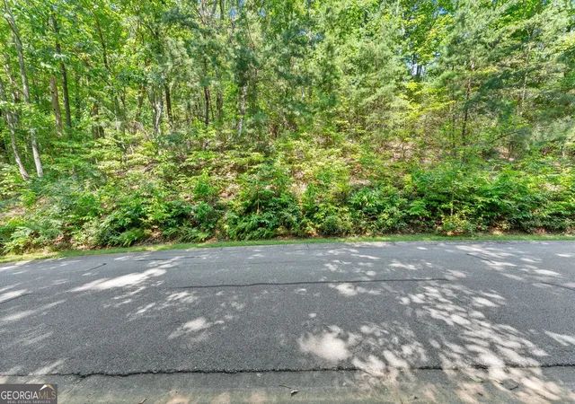 Photo 3 of Land for sale at 0 Raspberry Ln #1502, Clarkesville, GA 30523 | MLS# 10838143 | Listing updated on 2026-09-16