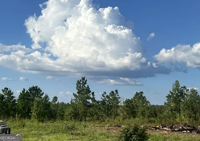 Photo 21 of Manufactured home for sale at 695 Four Acre Rd, Vidalia, GA 30474 | MLS# 10840890 | Listing updated on 2026-09-27