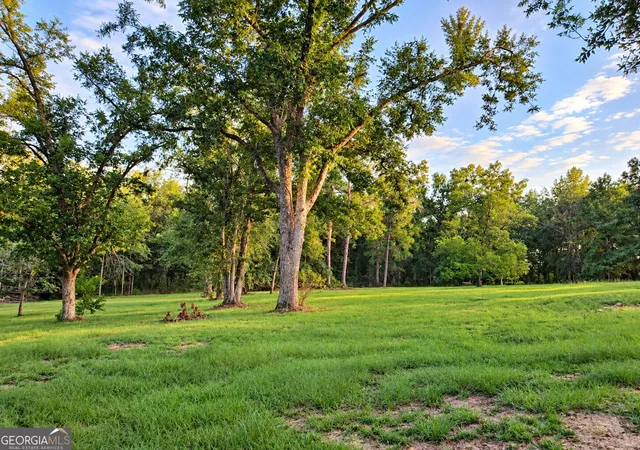 Photo 3 of Single family home for sale at 709 Bob Sharpe Rd, Vidalia, GA 30474 | MLS# 10852106 | Listing updated on 2026-10-08