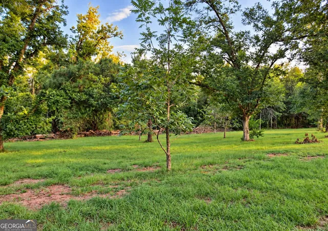 Photo 4 of Single family home for sale at 709 Bob Sharpe Rd, Vidalia, GA 30474 | MLS# 10852106 | Listing updated on 2026-10-08