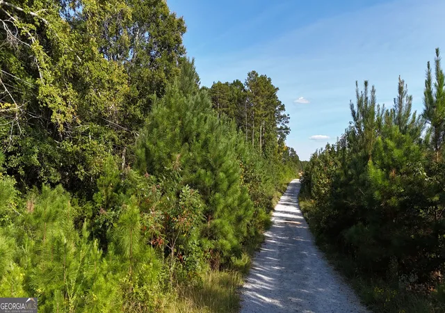 Photo 3 of Land for sale at 000 Bowman Hwy, Elberton, GA 30635 | MLS# 10842514 | Listing updated on 2026-09-23