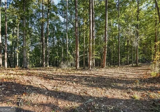 Photo 2 of Land for sale at 751 Chattin, Canton, GA 30115 | MLS# 10874265 | Listing updated on 2026-10-30
