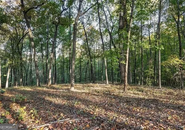 Photo 3 of Land for sale at 751 Chattin, Canton, GA 30115 | MLS# 10874265 | Listing updated on 2026-10-30