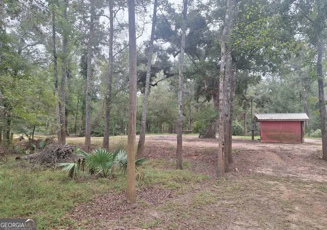 Photo 1 of Land for sale at 0 Morris Landing Rd, Baxley, GA 31513 | MLS# 10835493 | Listing updated on 2026-09-25