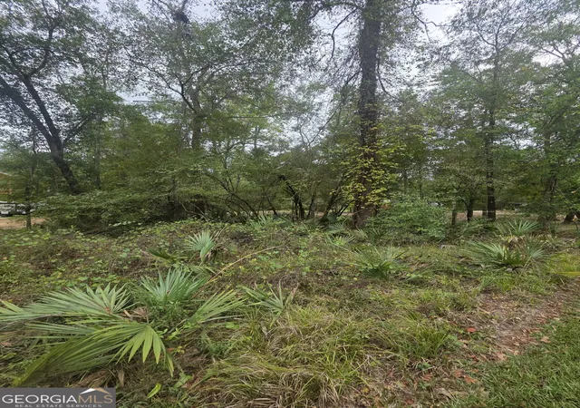 Photo 2 of Land for sale at 0 Morris Landing Rd, Baxley, GA 31513 | MLS# 10835493 | Listing updated on 2026-09-25