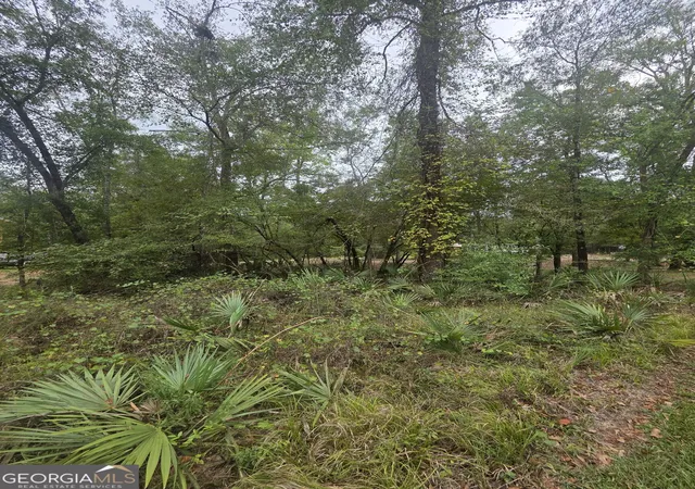Photo 3 of Land for sale at 0 Morris Landing Rd, Baxley, GA 31513 | MLS# 10835493 | Listing updated on 2026-09-25