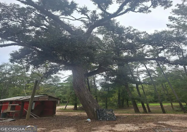 Photo 3 of Land for sale at 0 Morris Landing Rd, Baxley, GA 31513 | MLS# 10835493 | Listing updated on 2026-09-25