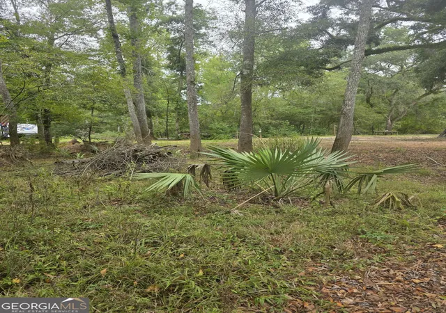 Photo 4 of Land for sale at 0 Morris Landing Rd, Baxley, GA 31513 | MLS# 10835493 | Listing updated on 2026-09-25