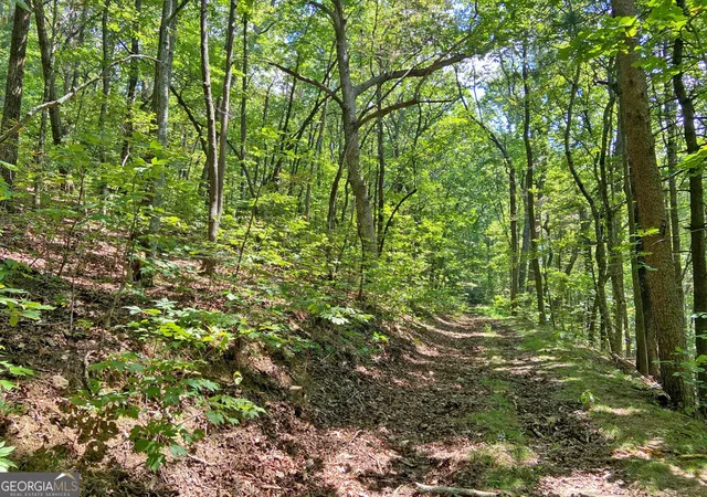 Land for sale at 4.8ac Sign Board Gap Rd, Dahlonega, GA 30533 | MLS# 10850738