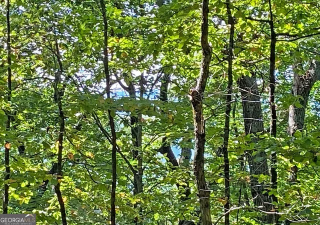 Photo 2 of Land for sale at 48ac Sign Board Gap Rd, Dahlonega, GA 30533 | MLS# 10850738 | Listing updated on 2026-10-06