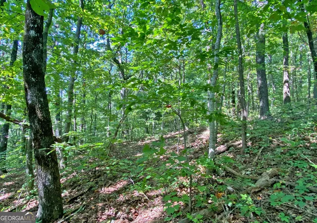 Photo 3 of Land for sale at 48ac Sign Board Gap Rd, Dahlonega, GA 30533 | MLS# 10850738 | Listing updated on 2026-10-06
