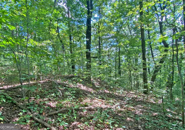 Photo 4 of Land for sale at 48ac Sign Board Gap Rd, Dahlonega, GA 30533 | MLS# 10850738 | Listing updated on 2026-10-06