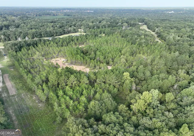 Photo 1 of Land for sale at 0 Carol Dr, Hawkinsville, GA 31036 | MLS# 10850656 | Listing updated on 2026-10-06