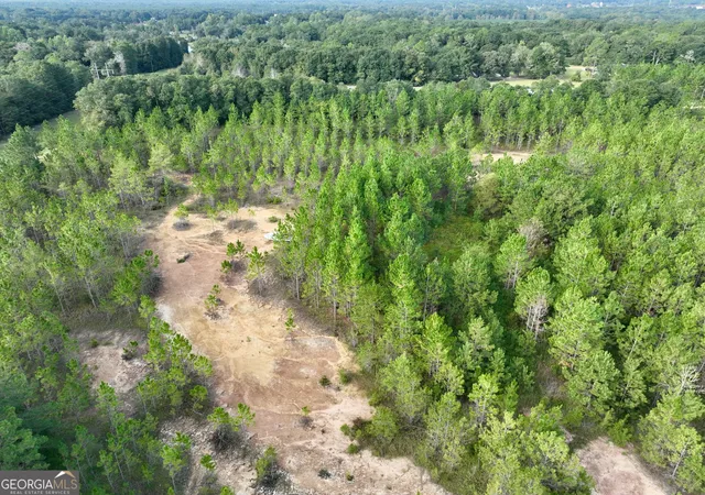 Photo 2 of Land for sale at 0 Carol Dr, Hawkinsville, GA 31036 | MLS# 10850656 | Listing updated on 2026-10-06