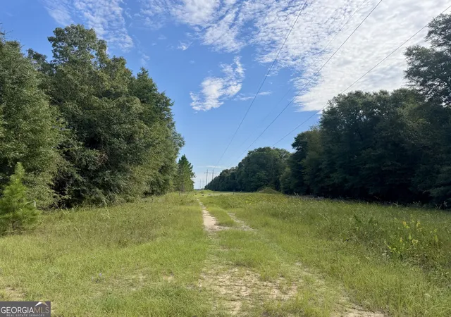 Photo 3 of Land for sale at 0 Carol Dr, Hawkinsville, GA 31036 | MLS# 10850656 | Listing updated on 2026-10-06
