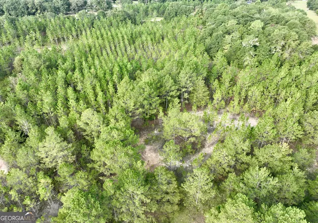 Photo 4 of House for sale at 0 Carol Dr, Hawkinsville, GA 31036 | MLS# 10850656 | Listing updated on 2026-10-06
