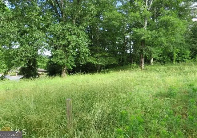 Photo 4 of Land for sale at 129 Green Forest Dr, Toccoa, GA 30577 | MLS# 10840331 | Listing updated on 2026-09-18
