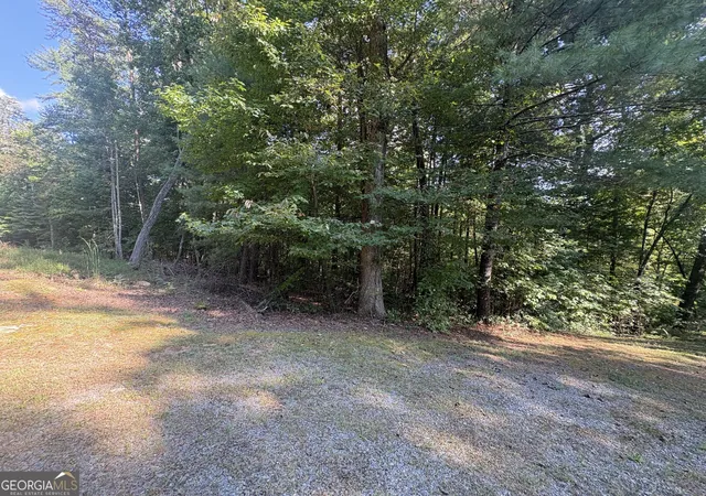 Photo 3 of Land for sale at 000 Macedonia Church Rd, Blue Ridge, GA 30513 | MLS# 10849580 | Listing updated on 2026-10-03