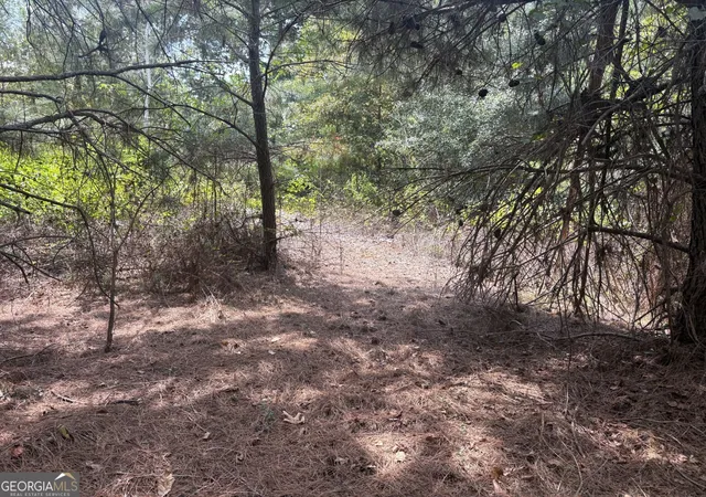 Photo 2 of Land for sale at L12 N Indian Trl Rd, Sandersville, GA 31082 | MLS# 10838103 | Listing updated on 2026-10-09