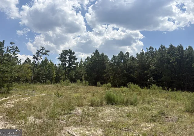 Photo 3 of Land for sale at L12 N Indian Trl Rd, Sandersville, GA 31082 | MLS# 10838103 | Listing updated on 2026-10-09