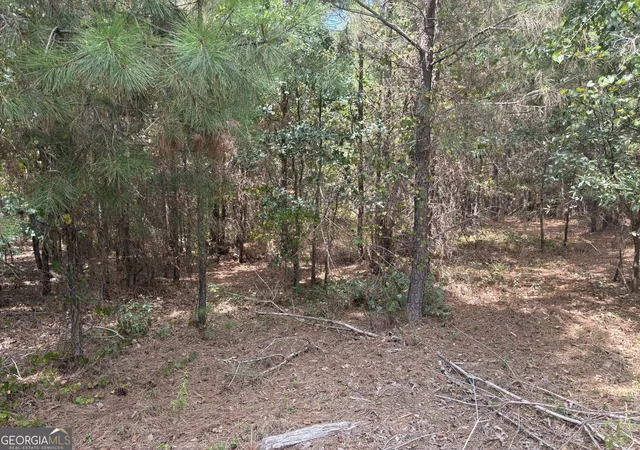 Photo 3 of Land for sale at L12 N Indian Trl Rd, Sandersville, GA 31082 | MLS# 10838103 | Listing updated on 2026-10-09