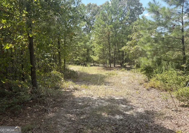 Photo 4 of Land for sale at L12 N Indian Trl Rd, Sandersville, GA 31082 | MLS# 10838103 | Listing updated on 2026-10-09