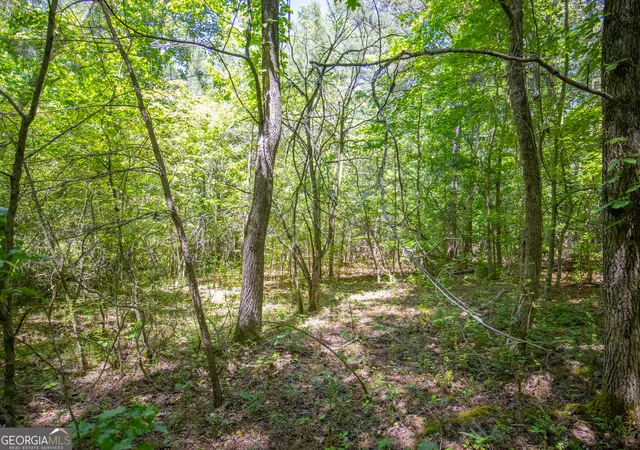 Photo 4 of Land for sale at 413 Acres Bronco Rd, Lafayette, GA 30728 | MLS# 10841252 | Listing updated on 2026-09-21