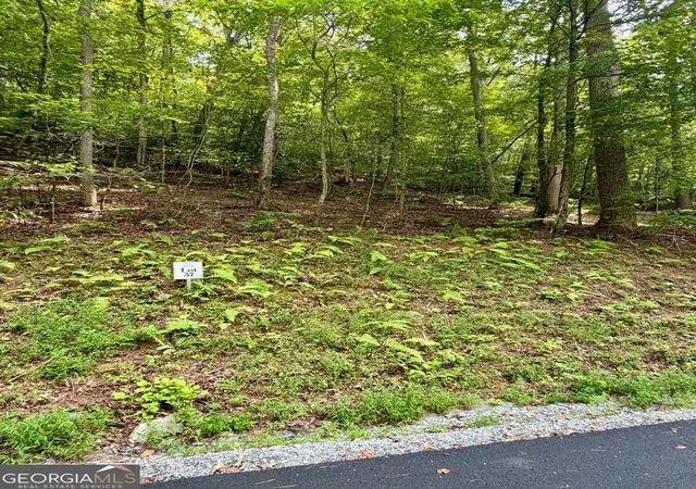 Photo 3 of Land for sale at Lot 37 Blue Horizon Dr, Blue Ridge, GA 30513 | MLS# 10848120 | Listing updated on 2026-09-17