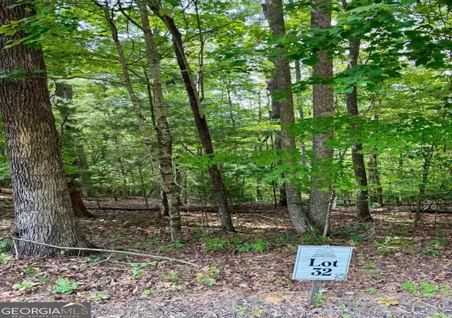 Photo 3 of Land for sale at Lot 32 Blue Horizon Dr, Blue Ridge, GA 30513 | MLS# 10848053 | Listing updated on 2026-09-17