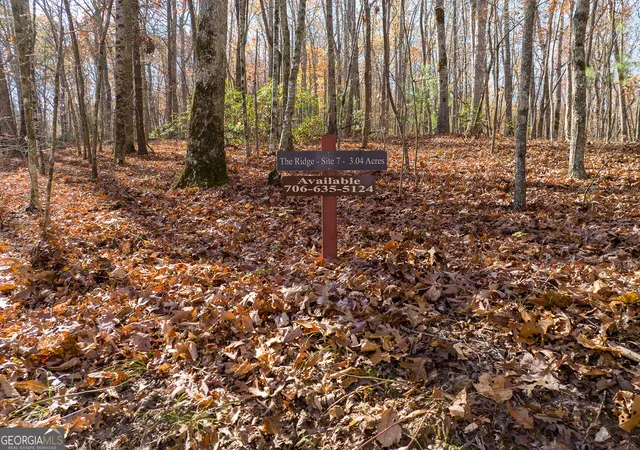 Photo 1 of Land for sale at Lot 7 Joseph Anderson Trl, Ellijay, GA 30536 | MLS# 10852409 | Listing updated on 2026-10-08