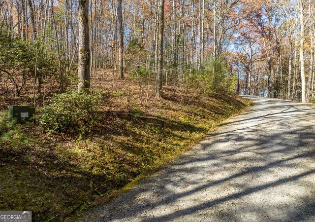 Photo 1 of Land for sale at Lot 7 Joseph Anderson Trl, Ellijay, GA 30536 | MLS# 10852409 | Listing updated on 2026-10-08
