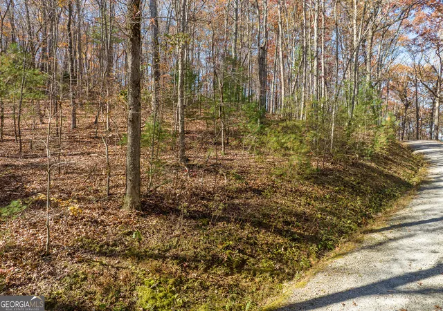 Photo 2 of Land for sale at Lot 7 Joseph Anderson Trl, Ellijay, GA 30536 | MLS# 10852409 | Listing updated on 2026-10-08