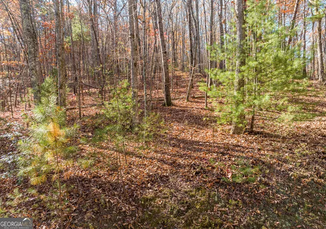 Photo 3 of Land for sale at Lot 7 Joseph Anderson Trl, Ellijay, GA 30536 | MLS# 10852409 | Listing updated on 2026-10-08
